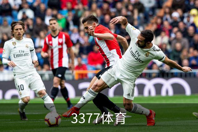 3377体育公司介绍